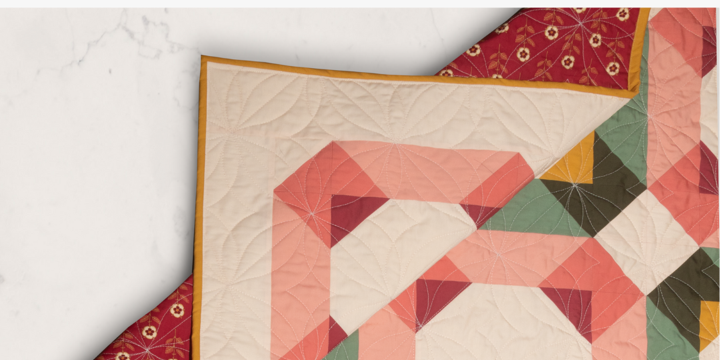 Enigmatic pattern by Toad & Sew in the December quilt color palette. This whimsical pattern is a play on Christmas colors.