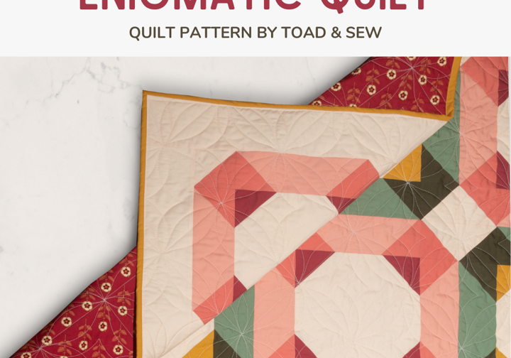 Enigmatic pattern by Toad & Sew in the December quilt color palette. This whimsical pattern is a play on Christmas colors.