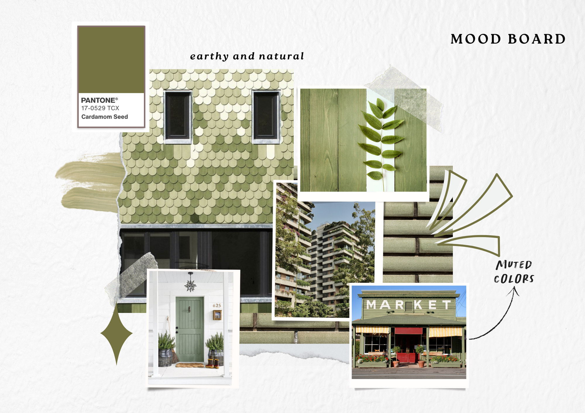 Slideshow Image 2