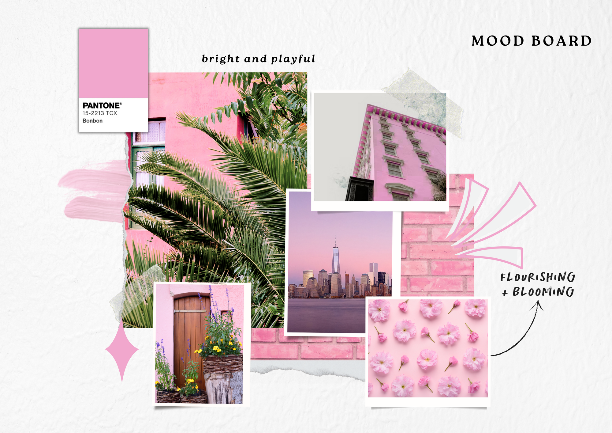 Slideshow Image 2