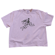 Flying Toad Witch | Comfort Colors Boxy Tee