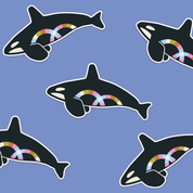 Quilty Orca Sticker