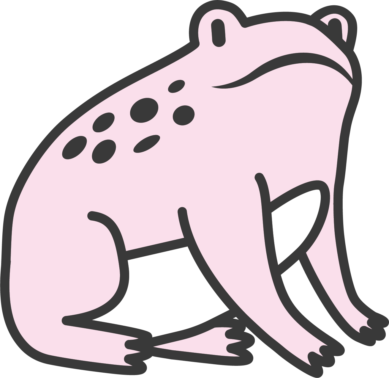 Toadster